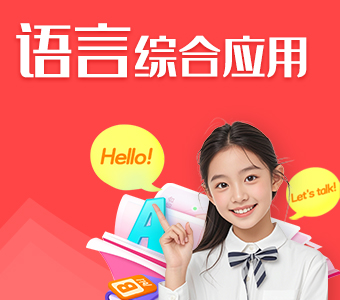 语言综合应用