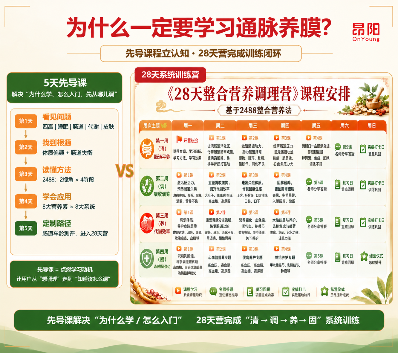 28天营养调理营